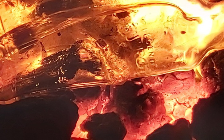 Zbiórka Pomoc 1 - zdjęcie główne