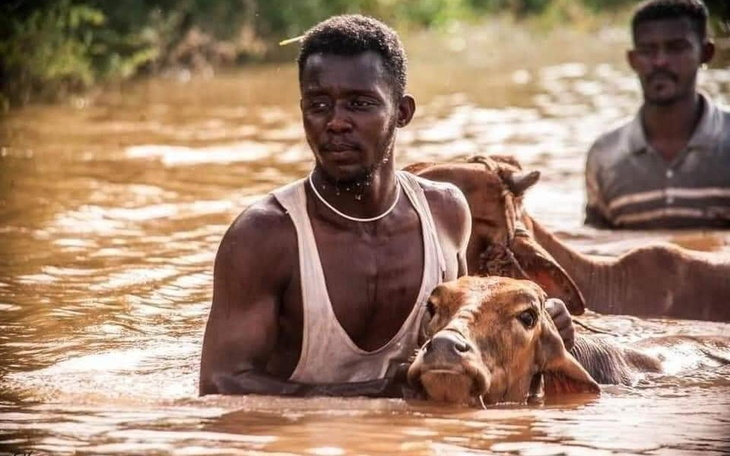 Zbiórka Lapourlesautres - zdjęcie główne