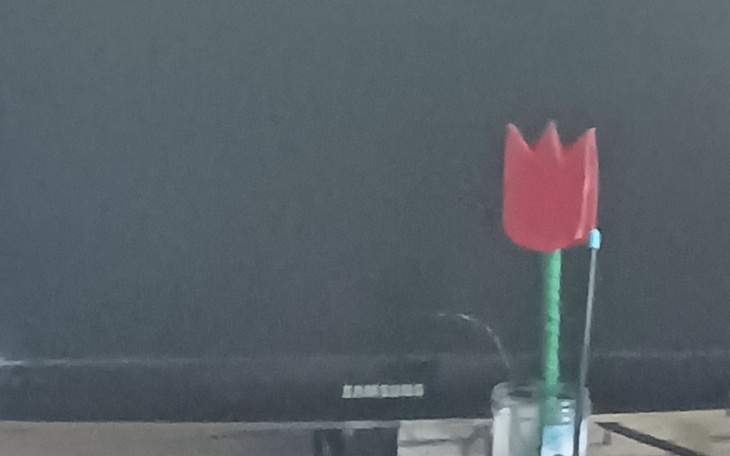 Zbiórka Na przeprowadzkę i żywność - zdjęcie główne