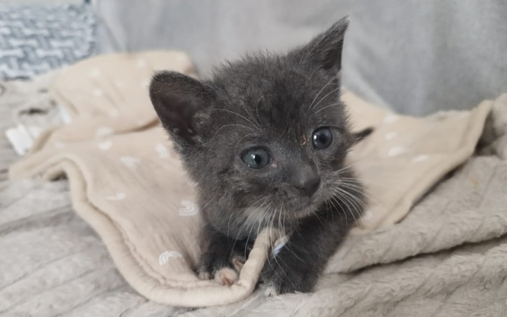 Zbiórka Ich matka zginęła pod kołami - zdjęcie główne