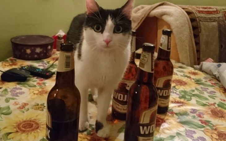 Zbiórka Zbieram na melanż - zdjęcie główne