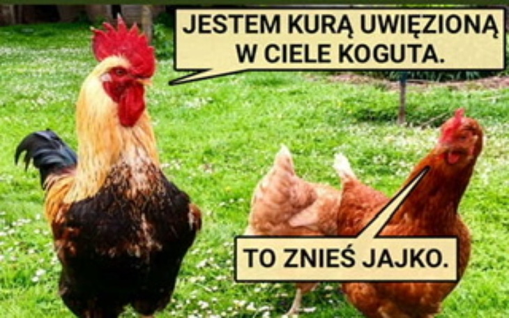 Zbiórka Walka O Rodzine Nie dla LGBT - zdjęcie główne