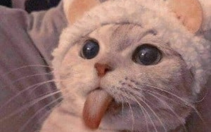 Zbiórka Proszę spełni moje małe marzenie - zdjęcie główne