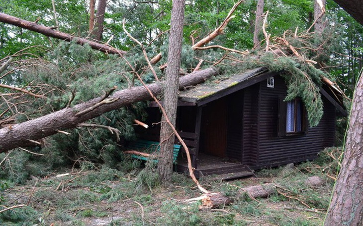 Zbiórka wsparcie dla ośrodka Skierka - zdjęcie główne