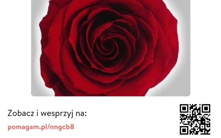 Zbiórka Pomoc za lepszym jutrem - zdjęcie główne