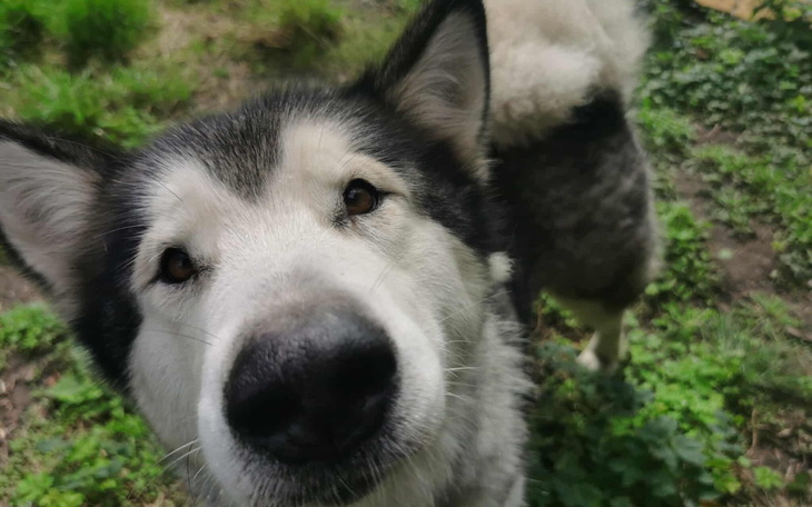 Ilustracja projektu mającego na celu pomoc potrzebującym.