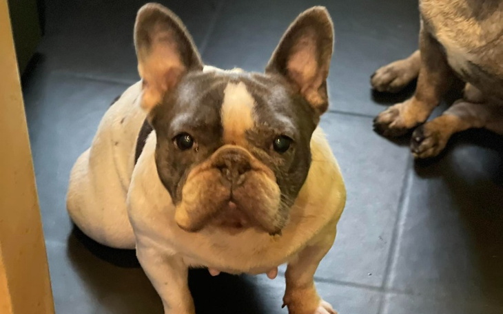 Zbiórka Opłacenie zadłużenia fundacji - zdjęcie główne