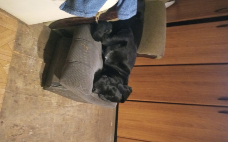 Zbiórka A ciul wie - zdjęcie główne