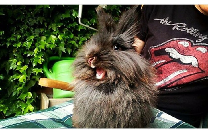 Zbiórka Fundacja Królewska - Leczenie - zdjęcie główne