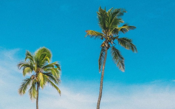 Zbiórka Bo przecież warto marzyć - zdjęcie główne