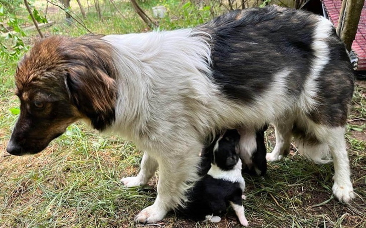 Zbiórka Na pomoc dla rodzinki - zdjęcie główne