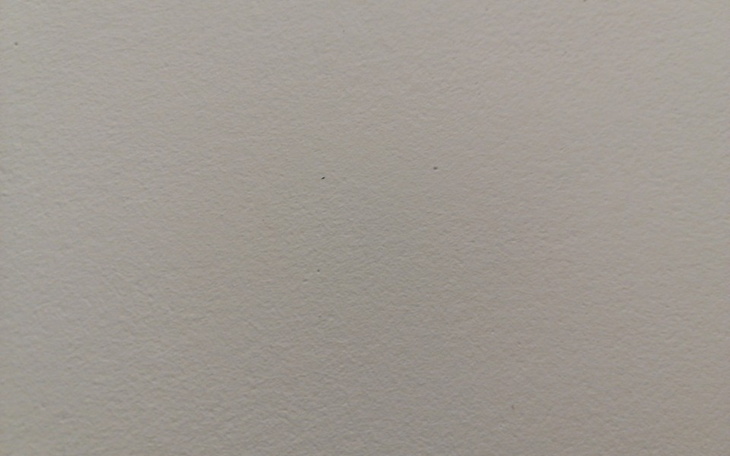 Zbiórka Wyjściee na prostą - zdjęcie główne