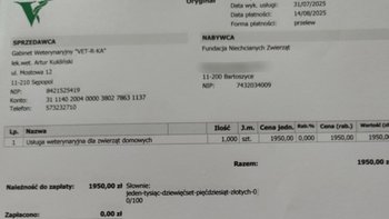 Zbiórka Fv za weterynarza - miniaturka zdjęcia