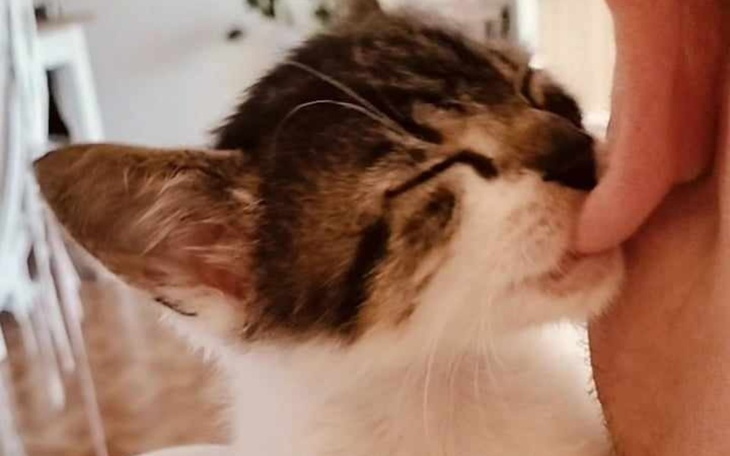 Zbiórka Walka o Kostka - zdjęcie główne