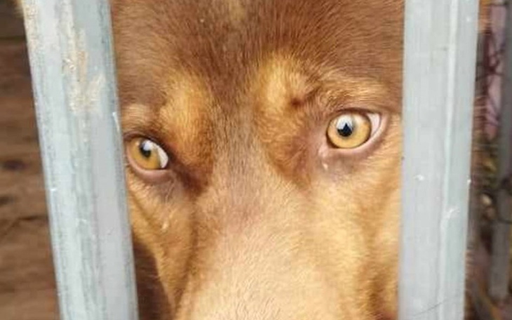 Zbiórka Pomóżmy mu zacząć nowe życie - zdjęcie główne