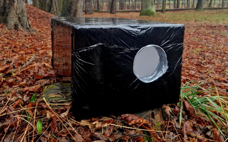 Czarny karton z otworem, leżący na liściach w lesie.