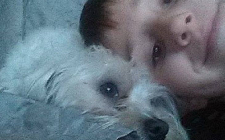 Zbiórka chore zwierzeta ze schroniska - zdjęcie główne