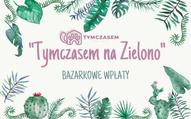 Zbiórka Tymczasem na Zielono - wpłaty - zdjęcie główne