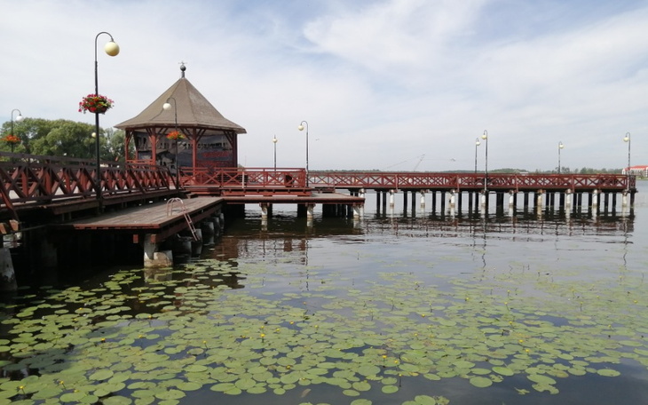 Zbiórka Naprawdę potrzebuje pomocy... - zdjęcie główne