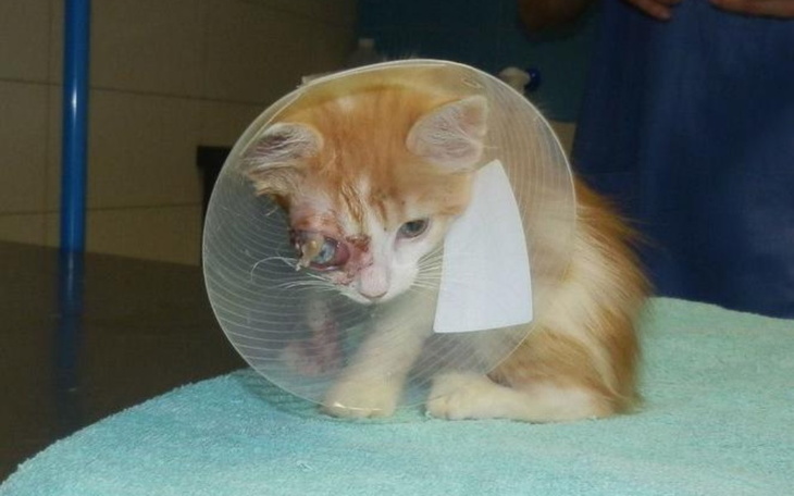 Zbiórka Zbiórka na wyjazd z kraju - zdjęcie główne