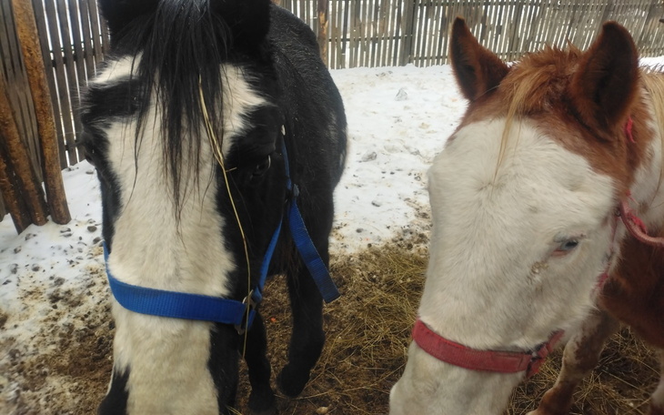 Zabrudzona ściana w pokoju, z widocznymi plamami.
