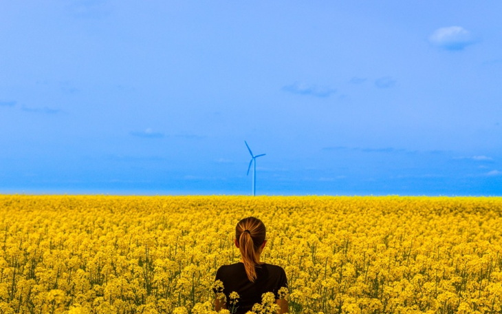 Zbiórka Pomoc ofiarom w Ukrainie - zdjęcie główne