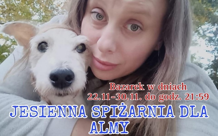 Zbiórka Na leczenie Almy, psiej wolo - zdjęcie główne