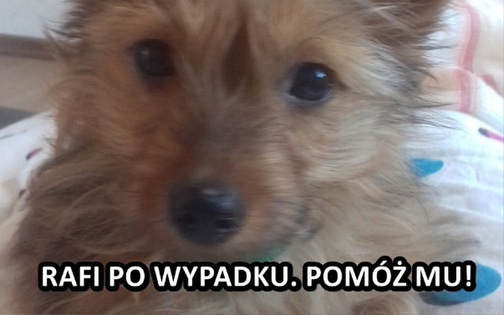 Zbiórka Rafi po wypadku. Pomóż mu! - zdjęcie główne