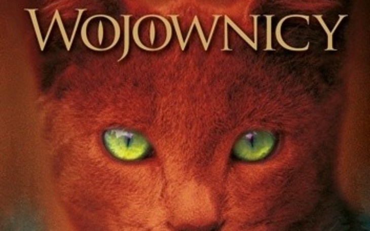 Zbiórka kwota na wymarzoną rzecz - zdjęcie główne