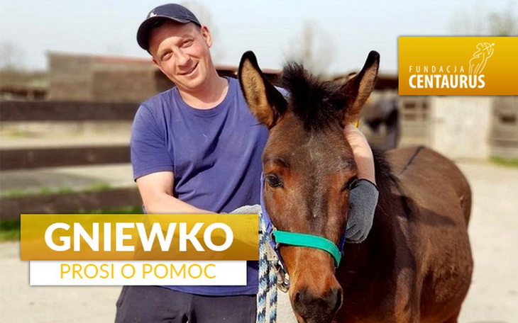 Zbiórka Gniewko prosi o pomoc - zdjęcie główne