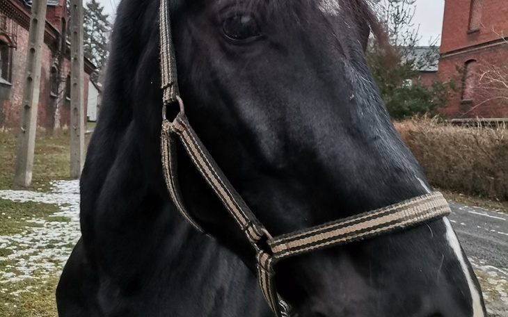 Zbiórka Na operację Aresa - zdjęcie główne