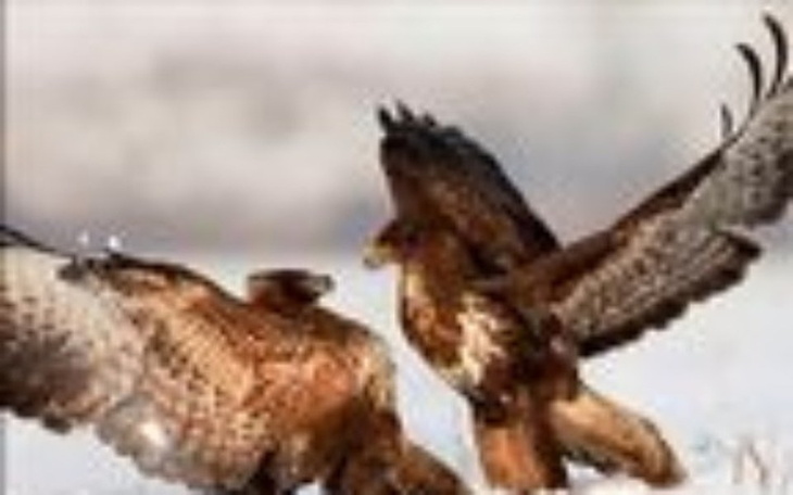 Zbiórka obóz dla Adasia - zdjęcie główne