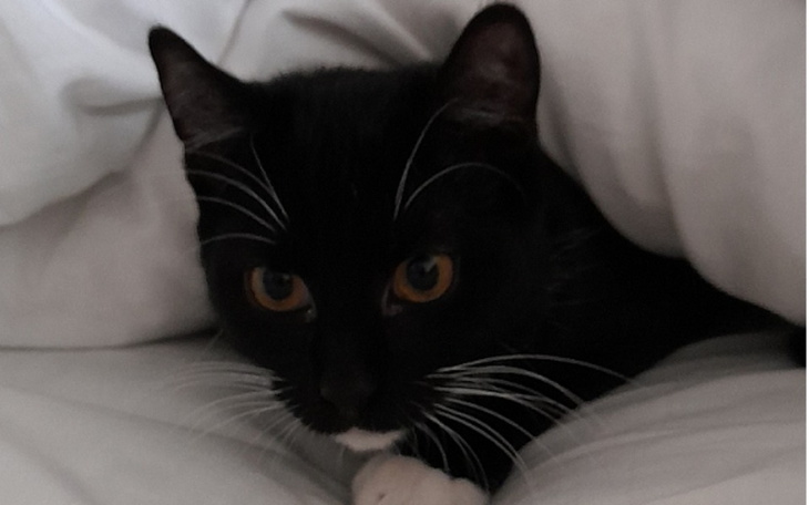 Zbiórka Ratujmy małego Kubusia - zdjęcie główne