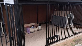 Zbiórka Na piach do kojców - miniaturka zdjęcia