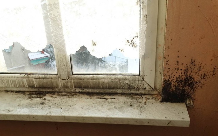 Zbiórka Remont Domu zdążyć przed zimą - zdjęcie główne