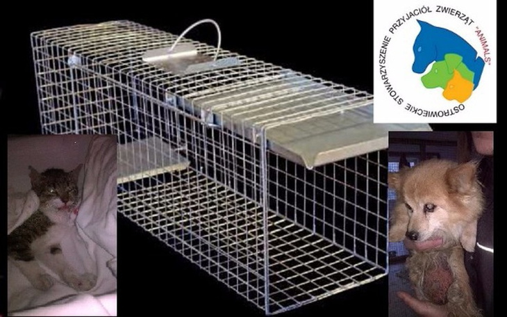 Zbiórka Na klatkę łapkę dla OSPZ ANIMALS - zdjęcie główne