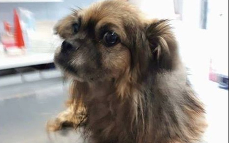 Zbiórka Kaleki Bojan walczy z chorobą... - zdjęcie główne