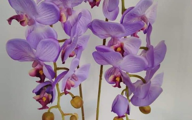 Zbiórka Spłata komornika i leczenie - zdjęcie główne