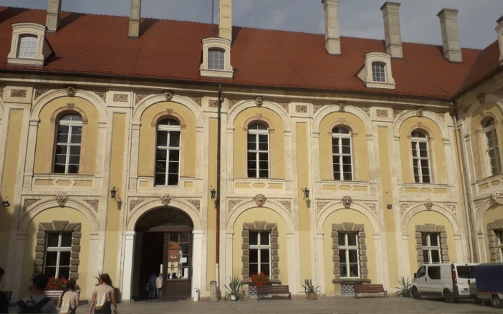 Zbiórka Dowolny - zdjęcie główne