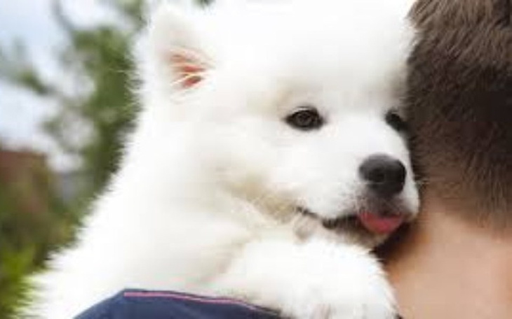 Zbiórka Zbieram na wakcje - zdjęcie główne