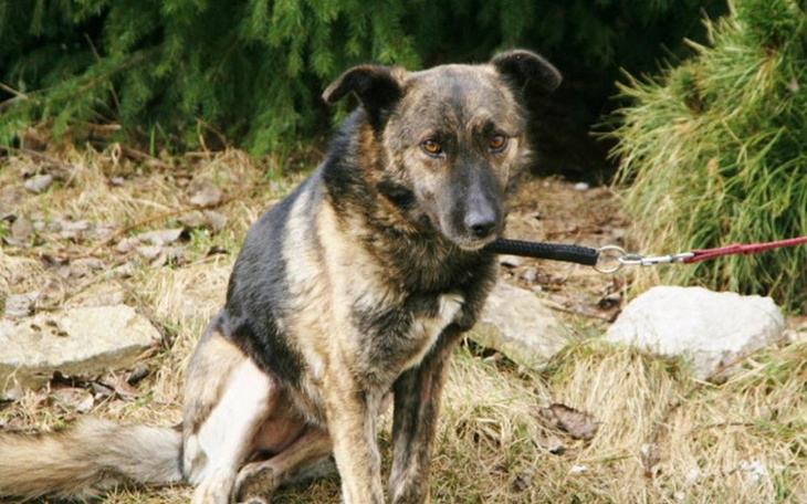 Zbiórka Już po operacji - dług 4500 zł - zdjęcie główne