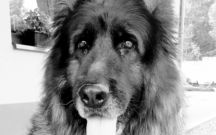 Zbiórka Kosztowne leczenie by przeżyć - zdjęcie główne