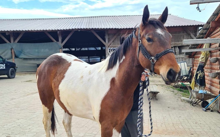 Zbiórka Usunięcie cysty - zdjęcie główne