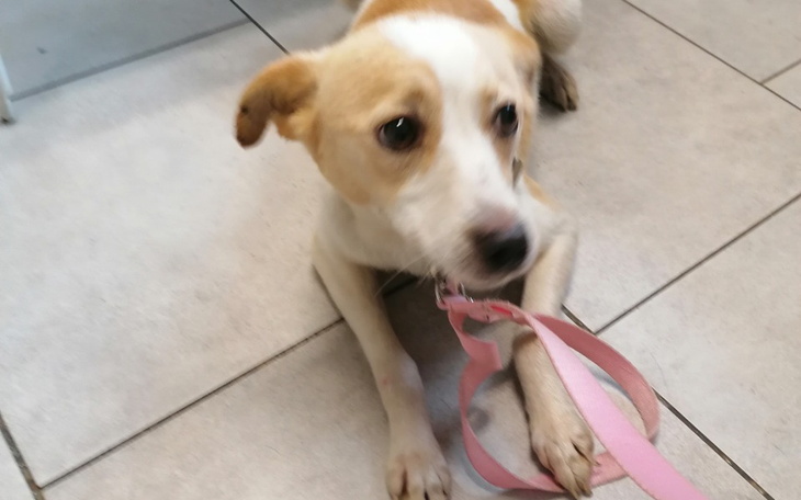 Zbiórka Chudziaki z ulicy. - zdjęcie główne