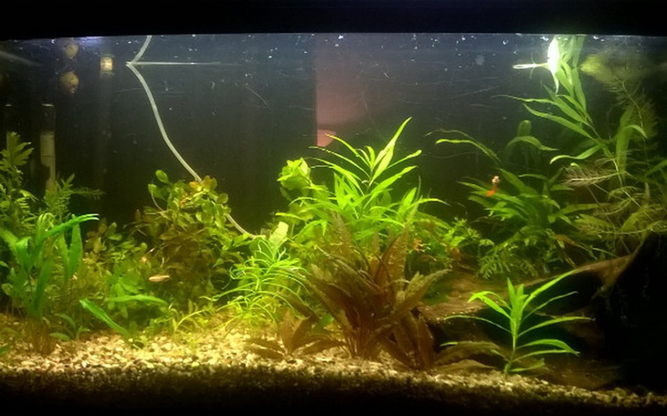 Zbiórka Na wakacje... - zdjęcie główne