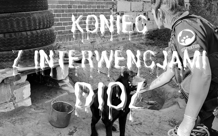 Pomoc dla zwierząt w potrzebie, zakończenie interwencji.