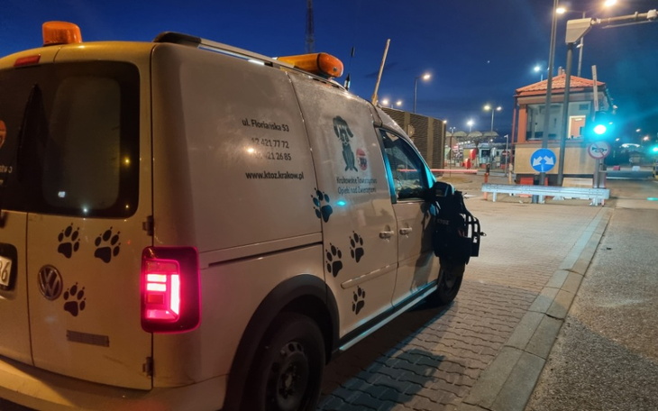 Zbiórka Na pomoc zwierzakom Ukrainy - zdjęcie główne