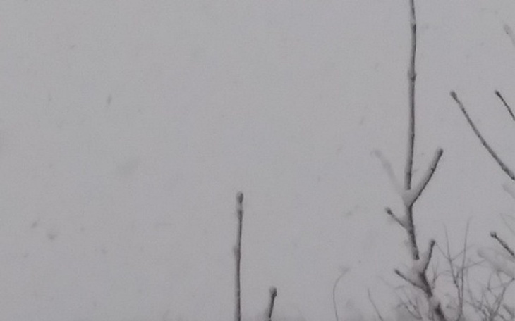 Zbiórka Kochany tata - zdjęcie główne