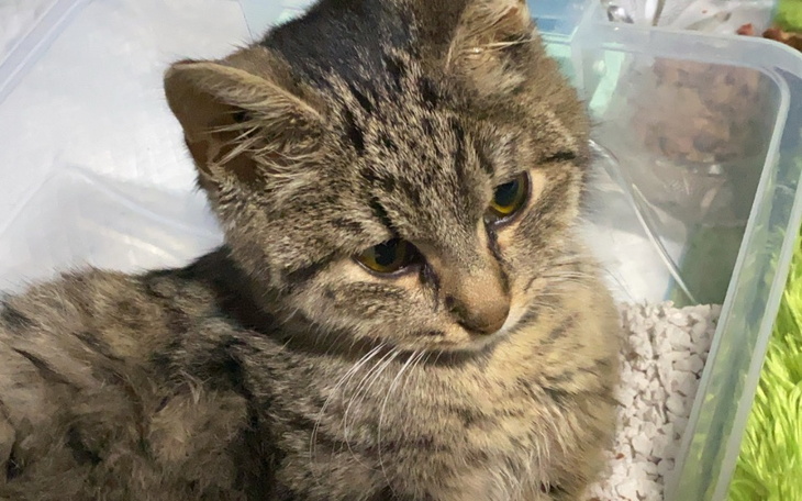 Zbiórka Ile jest warte życie Maciusia - zdjęcie główne