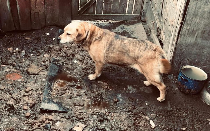 Zbiórka Zabierzmy ich z tego koszmaru - zdjęcie główne